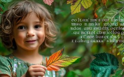 幼儿园语言说课树叶，幼儿园语言说课树叶教学反思