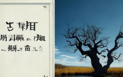用静态对比的作文，用静态对比的作文素材